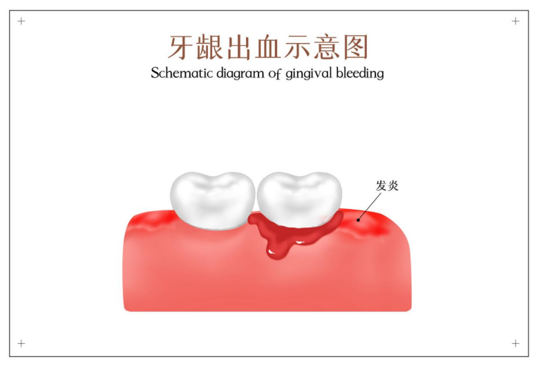 1661512521139483.png 1661512521139483.png