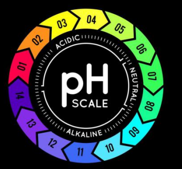 1661513873808481.png 1661513873808481.png